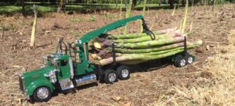 Asparagus+hauling