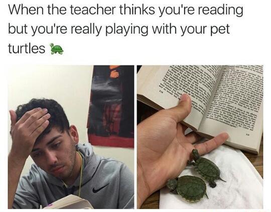 When+the+teacher+thinks+you%26%238217%3Bre+reading%26%238230%3B