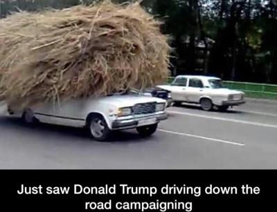 Just+Saw+Donald+Trump+Driving+Down+The+Road%26%238230%3B