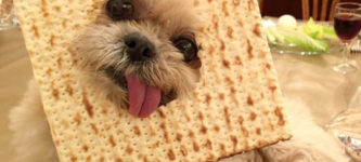 Matzah%21