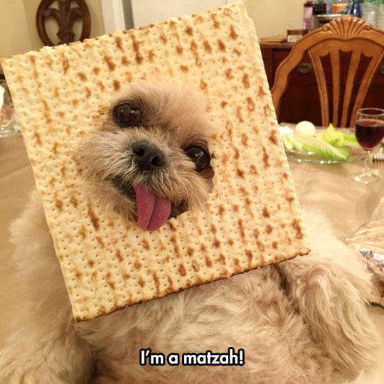 Matzah%21
