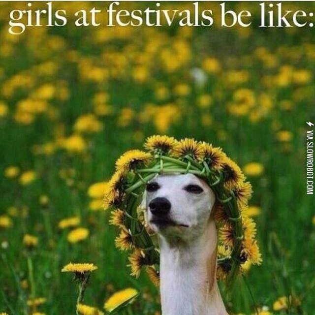 Festival+season+is+upon+us