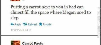 Carrot+facts