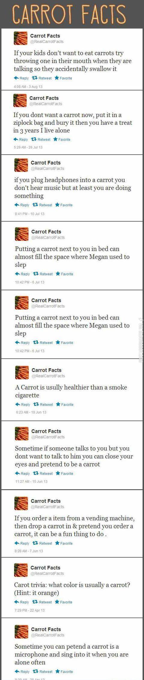 Carrot+facts