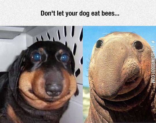 Those+Eyes+Are+Full+Of+Confusion+And+Regret