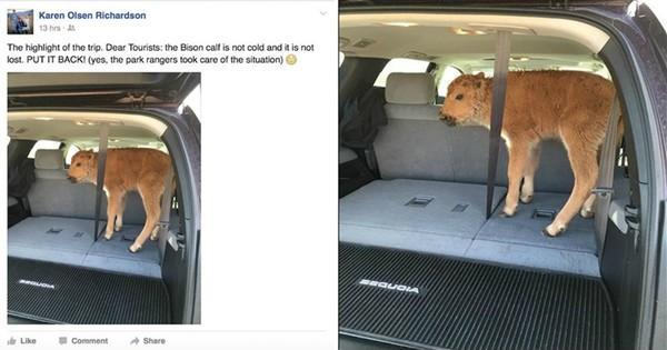 The+Highlight+Of+The+Trip