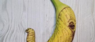 Banana+Art+By+Stephan+Brusche