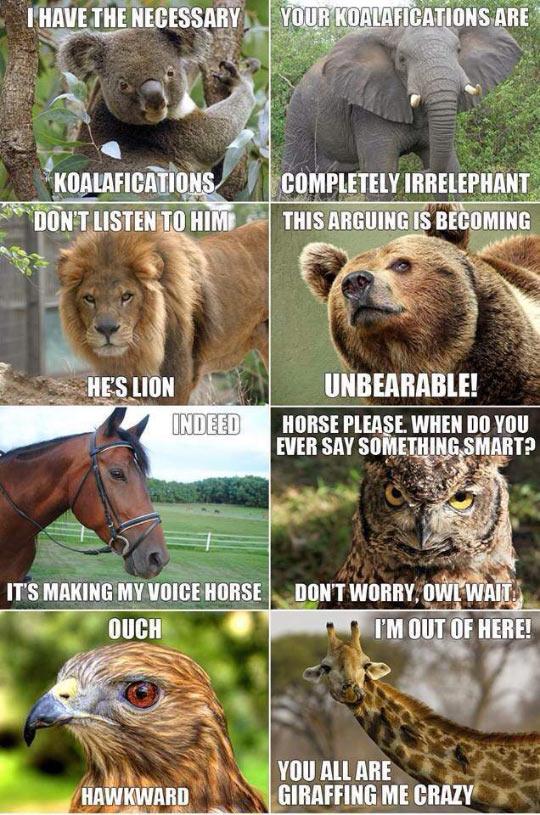 Baby+Don%26%238217%3Bt+Herd+Me