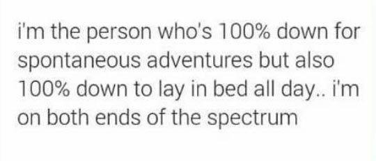 I%26%238217%3Bm+The+Person+Who%26%238217%3Bs+100%25+Percent