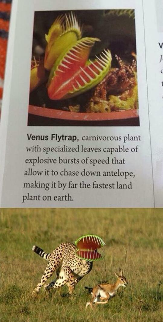 Err%26%238230%3B+I%26%238217%3Bll+Take+Your+Word+For+It