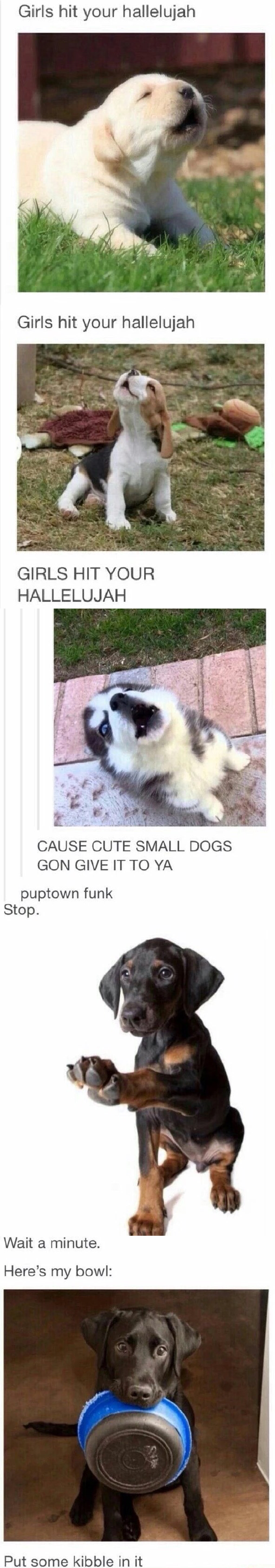 Puptown+funk