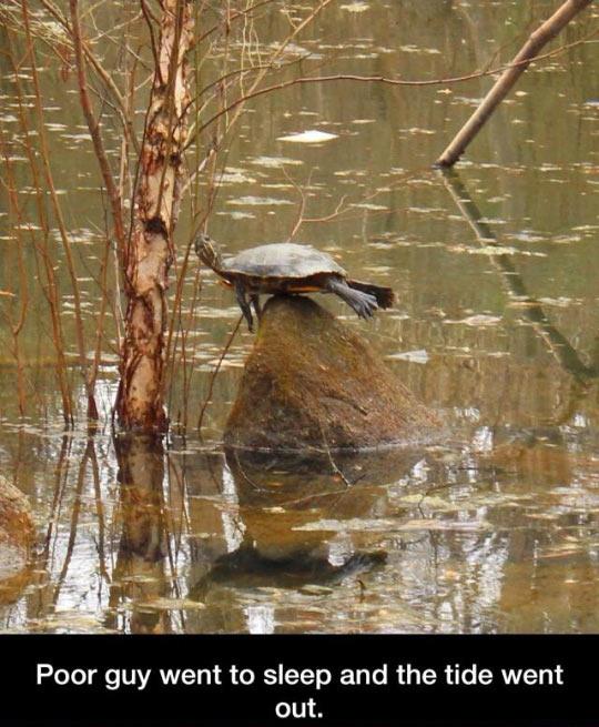 That+Moment+When+You+Sleep+For+Too+Long