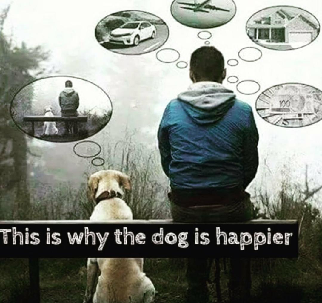 It+really+can+be+that+simple.