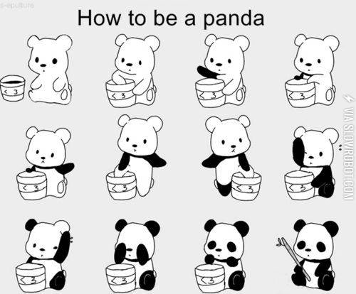 How+to+be+a+panda.