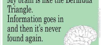 My+brain+is+like+the+Bermuda+Triangle.