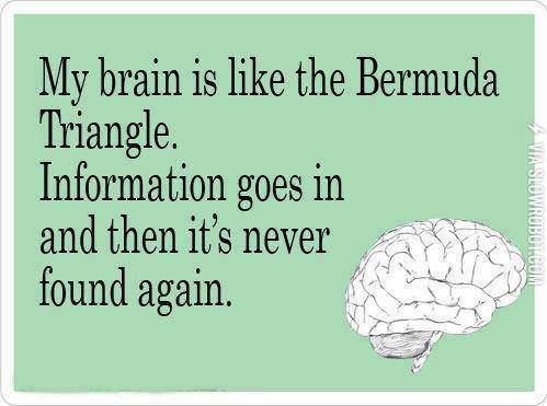 My+brain+is+like+the+Bermuda+Triangle.