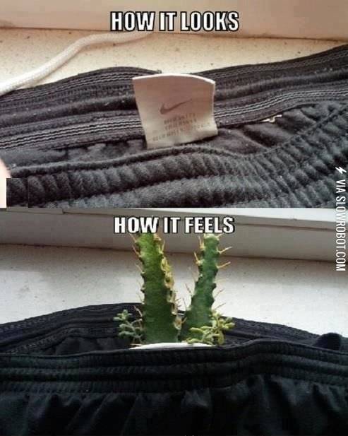 I+hate+clothing+tags.