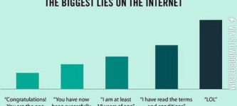 Internet+lies