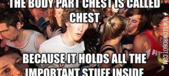 The+chest