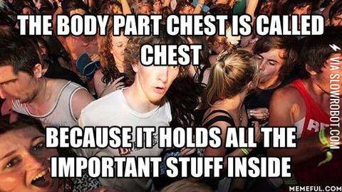 The+chest