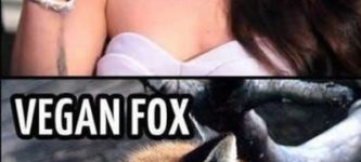 Megan+Fox+And+Vegan+Fox%26%238230%3B