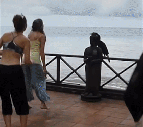 Toucan+play+this+game.