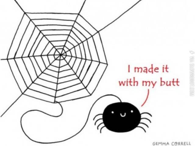 Spiders.