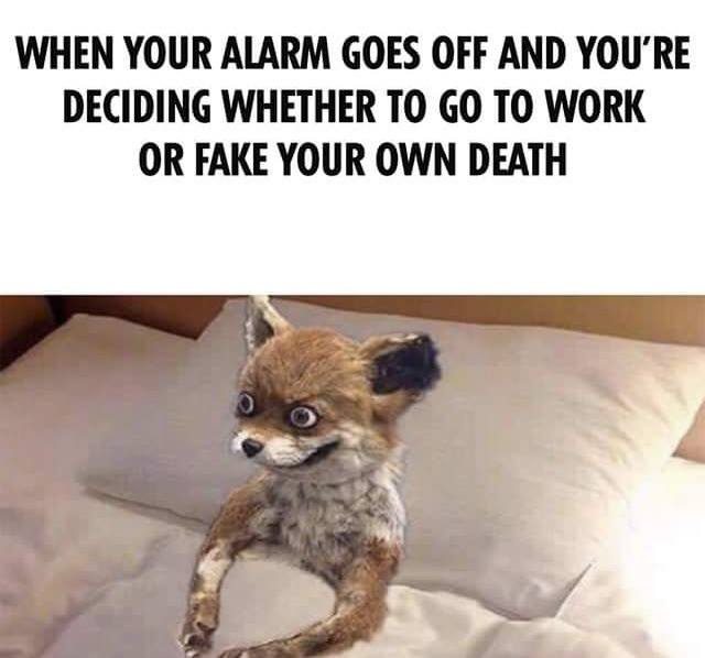 Go+to+Work+or+Fake+Your+Own+Death