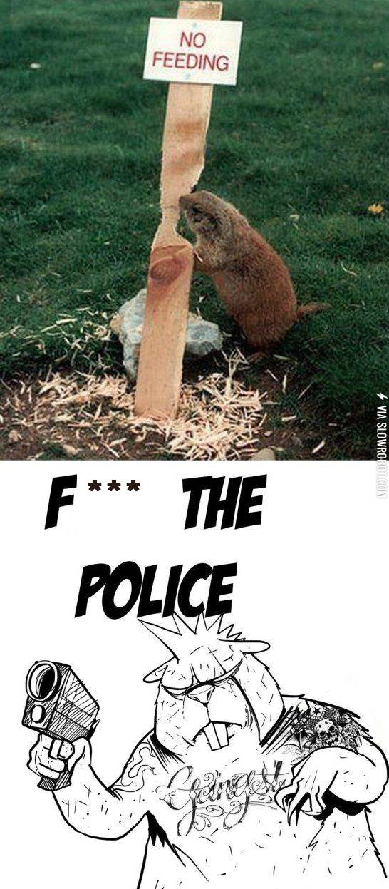 I%26%238217%3Bve+got+beaver+fever%21