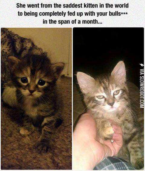 In+just+the+span+of+a+month