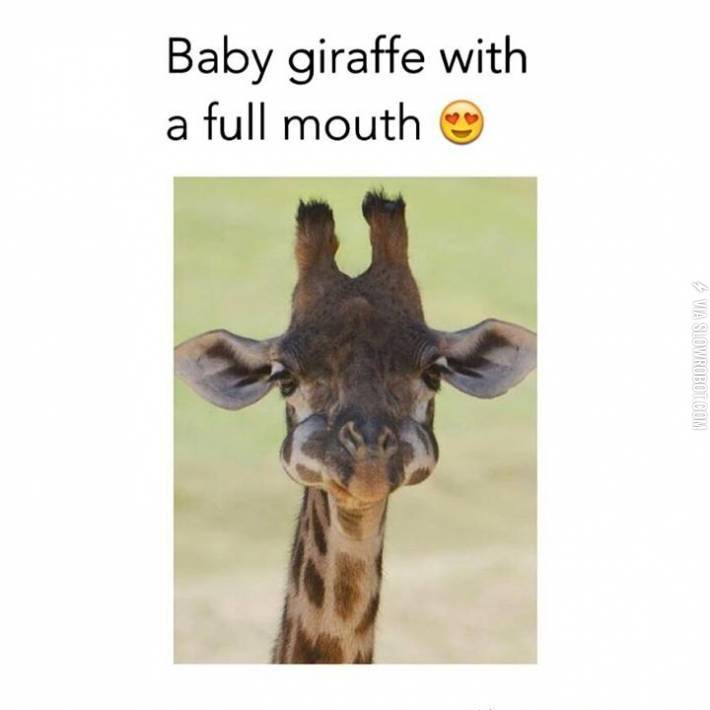 How+I+look+like+eating+cookies