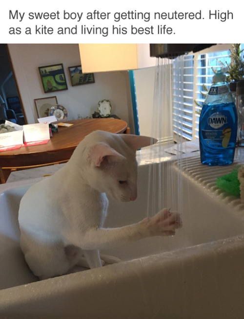 I%26%238217%3Bll+never+have+a+family+of+my+own