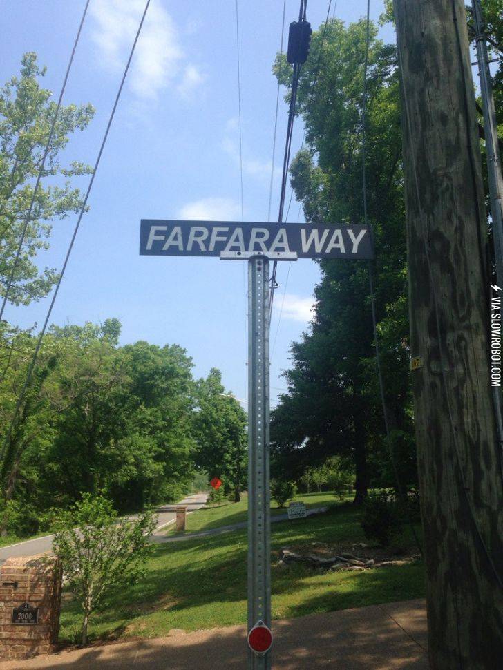 I+thought+this+was+genius