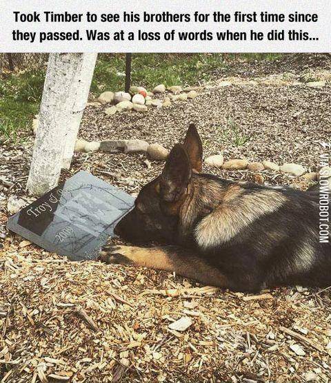 A+heartbreaking+moment