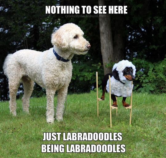 Ah+Yes%2C+All+Seems+To+Be+In+Order