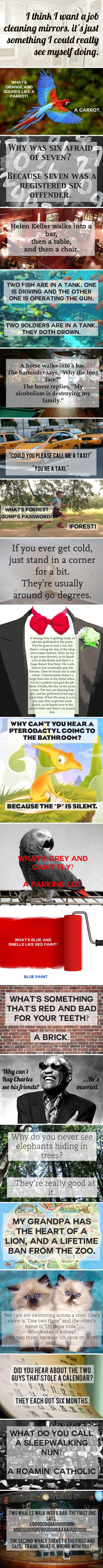 Some+Short+Jokes+To+Brighten+Your+Day