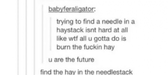 Needle+in+a+haystack