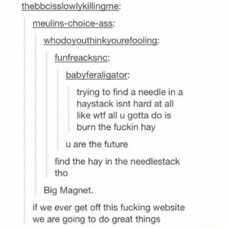 Needle+in+a+haystack