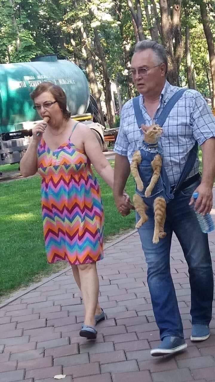 Just+out+for+an+evening+stroll+with+the+gato.