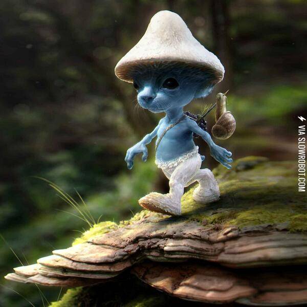 They%26%238217%3Bre+real%21