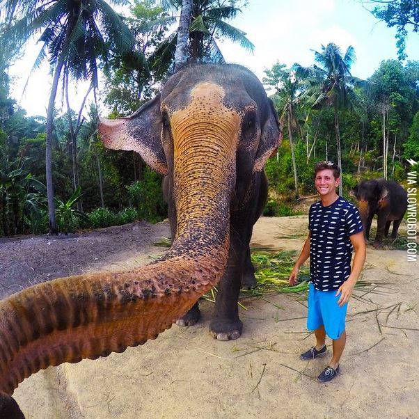 So+now+%26quot%3Belphie%26%238217%3Bs%26quot%3B+are+a+thing