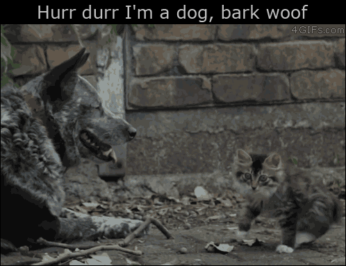 Bark+woof