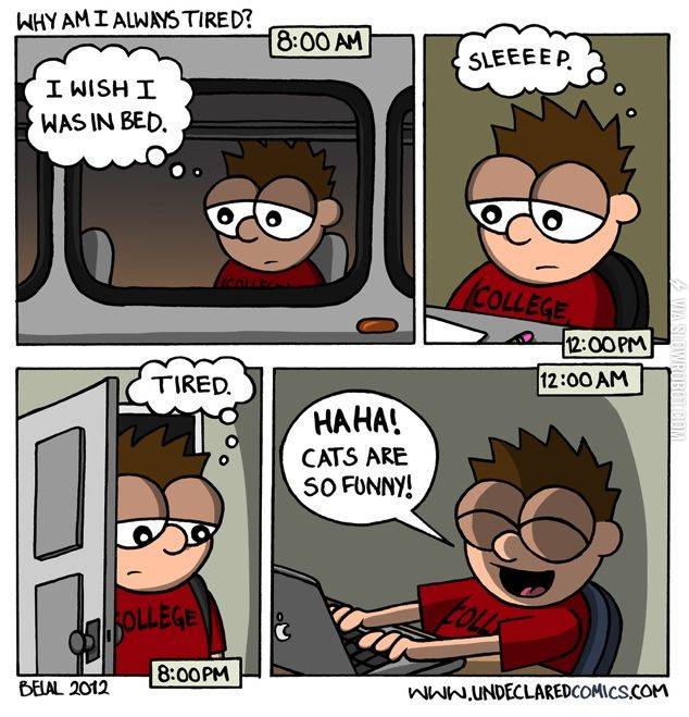 Why+am+I+always+tired%3F