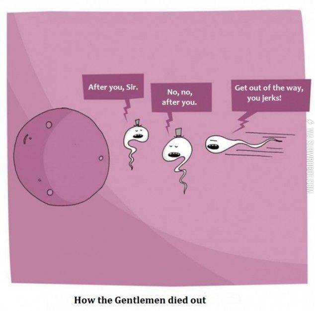 How+the+gentlemen+died+out.