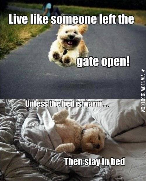 Live+like+someone+left+the+gate+open%26%238230%3B