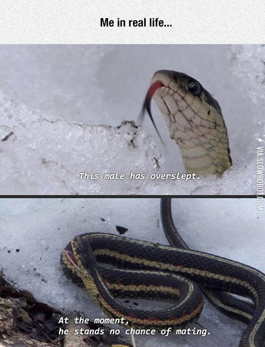 Yep%2C+Story+Of+My+Life