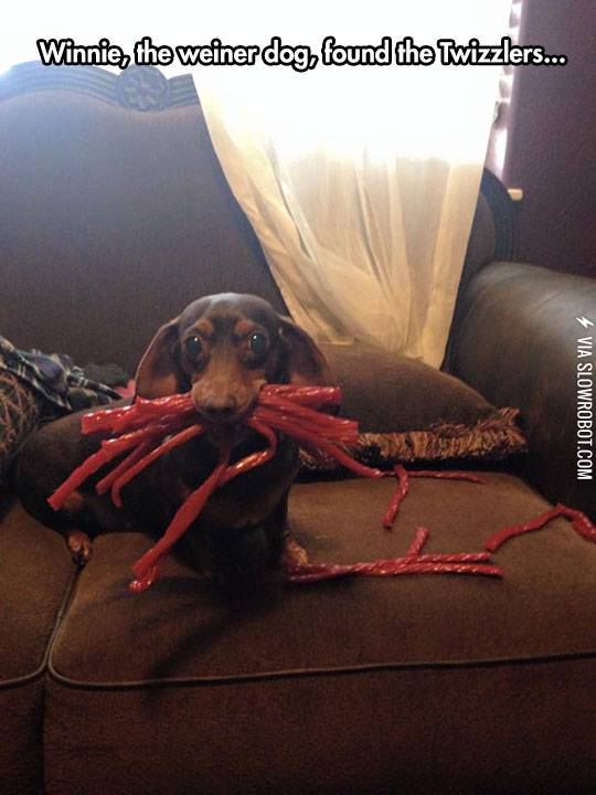 Master+Has+Given+Winnie+Candy+Winnie+Is+Free