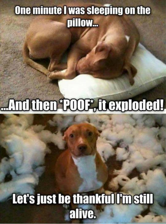 Let%26%238217%3Bs+Be+Thankful