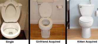 My+toilet+through+the+years