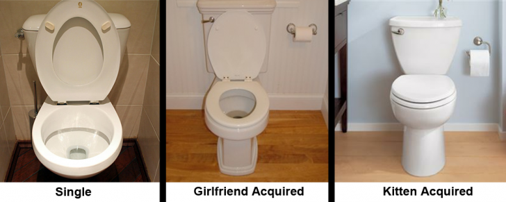 My+toilet+through+the+years